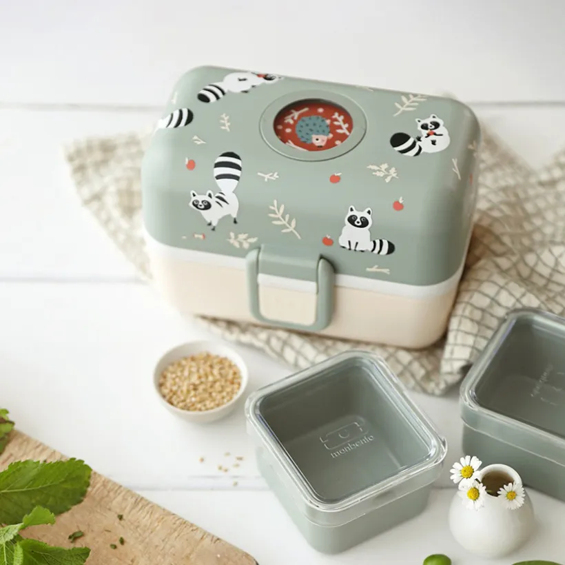 Lunchbox Tresor - Racoon 800ml