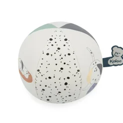 Mon premier Ballon Chiot 10cm 6m+