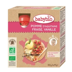Pack de 4 gourdes pomme fraise et vanille bio