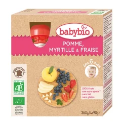 Pack de 4 gourdes pomme myrtille bio