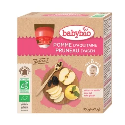 Pack de 4 gourdes pomme pruneau d'Agen bio