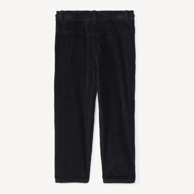 Pantalon en velours côtelé doublé pour bébé garçon