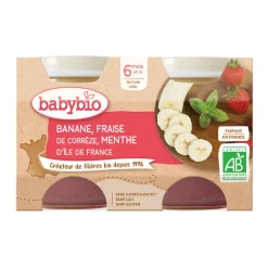 Petit pot banane fraise menthe bio - 2x130g