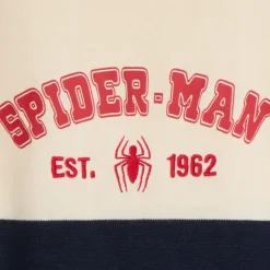Pull bicolore Spider-Man Marvel pour garçon