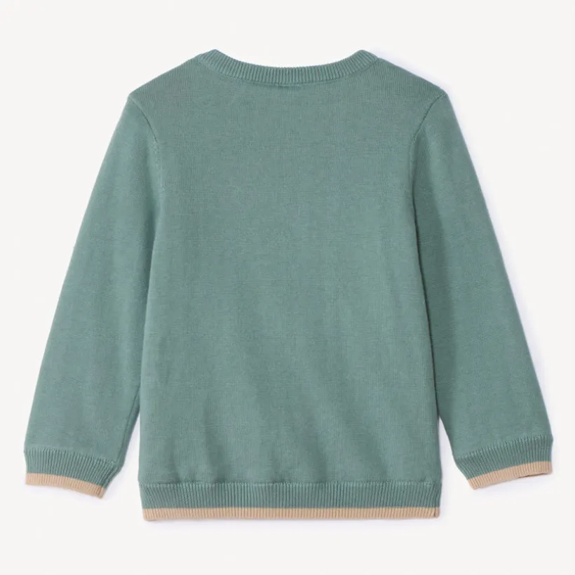 Pull en tricot doublé motif dino en relief pour bébé garçon