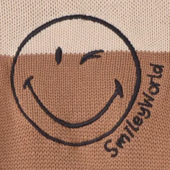 Pull en tricot effet color block SmileyWorld pour garçon