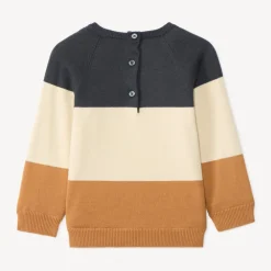 Pull ludique chien en tricot tricolore pour bébé garçon