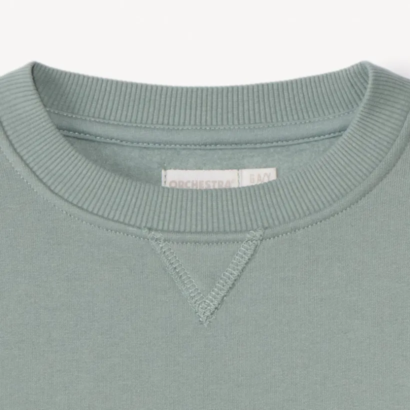Sweat en molleton gratté uni pour garçon