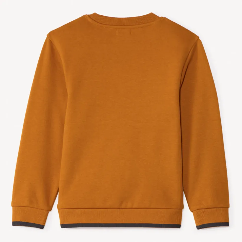 Sweat molleton avec animal surpiqué pour garçon
