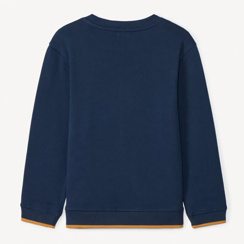 Sweat molleton avec broderie effet bouclette pour garçon
