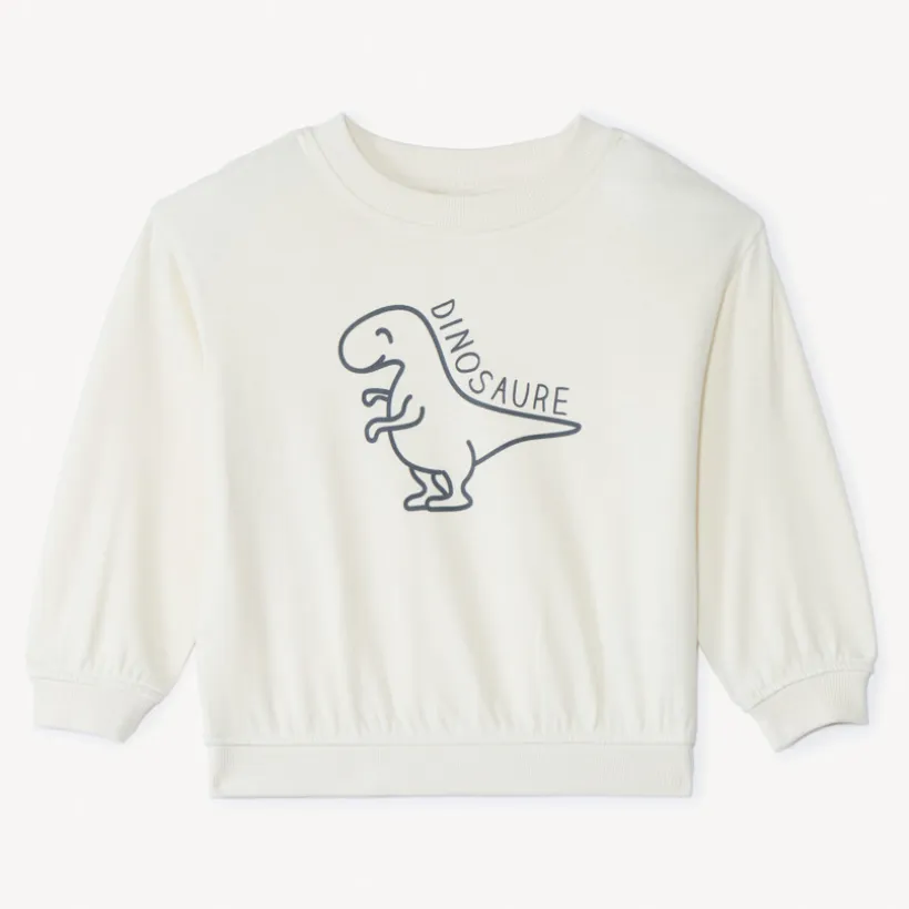 Sweat molleton oversize print dino pour bébé garçon