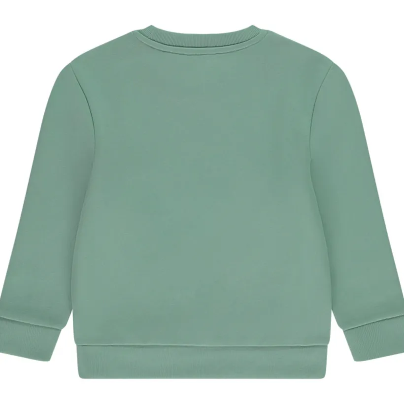 Sweat molleton print fantaisie pour garçon
