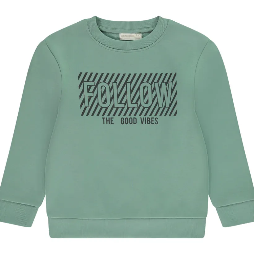 Sweat molleton print fantaisie pour garçon