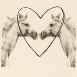 T-shirt manches courtes photoprint chevaux pour fille