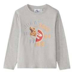 T-shirt manches longues Print dinosaure pour garçon
