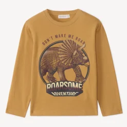 T-shirt manches longues print dinosaure pour garçon